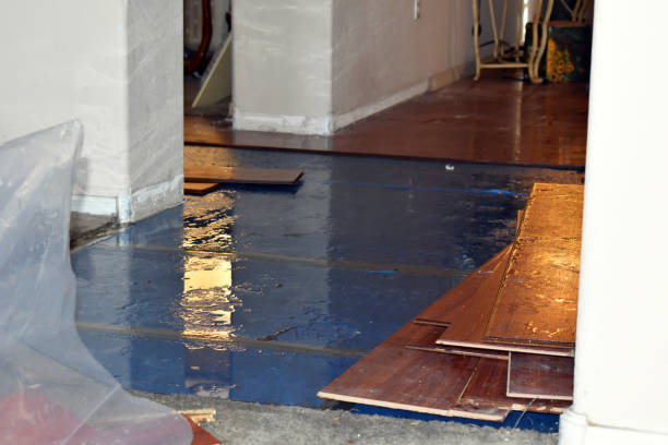 Professional Burst Pipe Cleanup technician working in Harrietta, MI