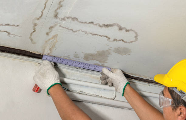 Reliable Burst Pipe Cleanup contractor in Harrietta, MI by Local Water Damage Repair